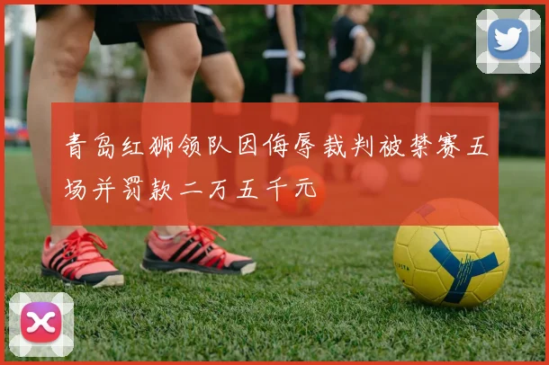 青岛红狮领队因侮辱裁判被禁赛五场并罚款二万五千元