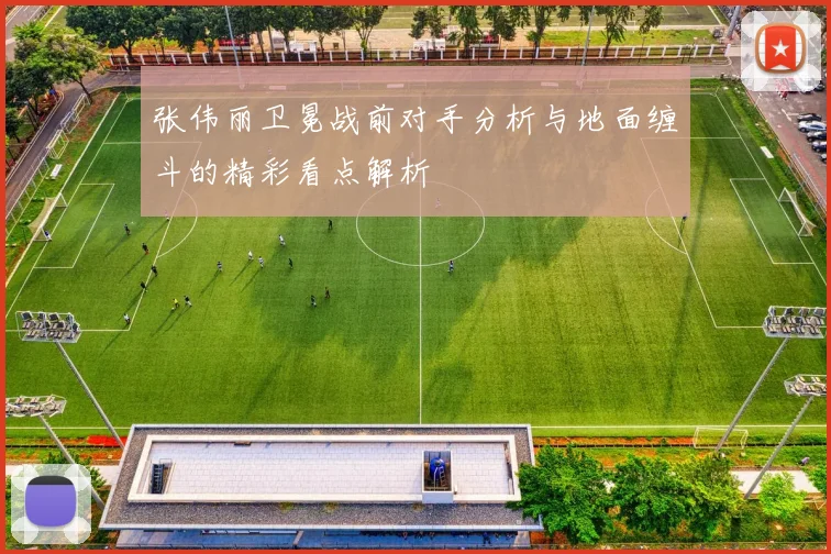 张伟丽卫冕战前对手分析与地面缠斗的精彩看点解析